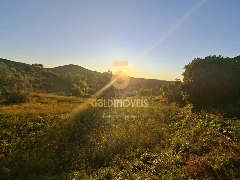 Terreno para Venda em Real Foto 3
