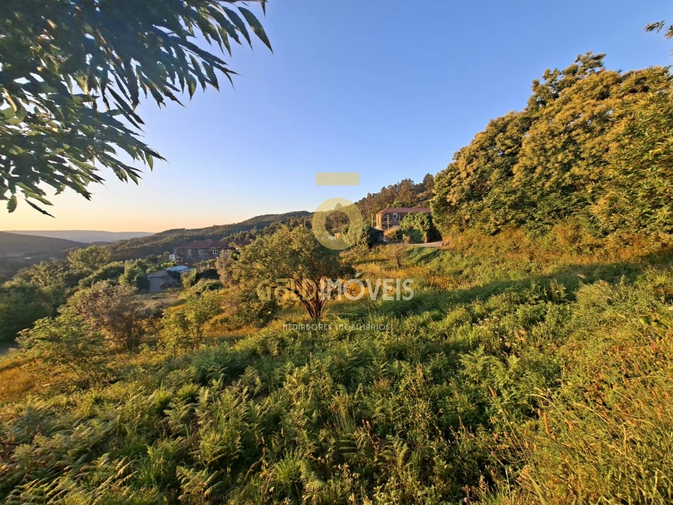 Terreno para Venda em Real Foto 6