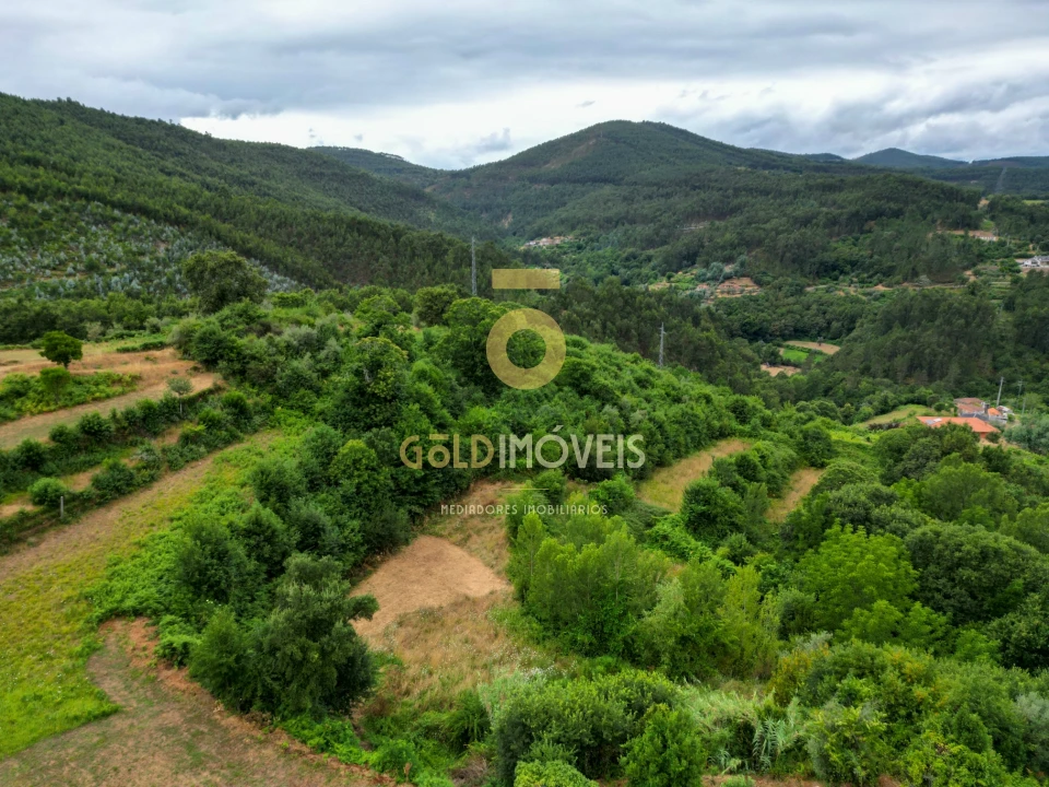 Terreno para Venda em Real Foto 15