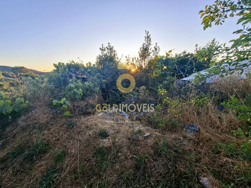 Terreno para Venda em Real Foto 10