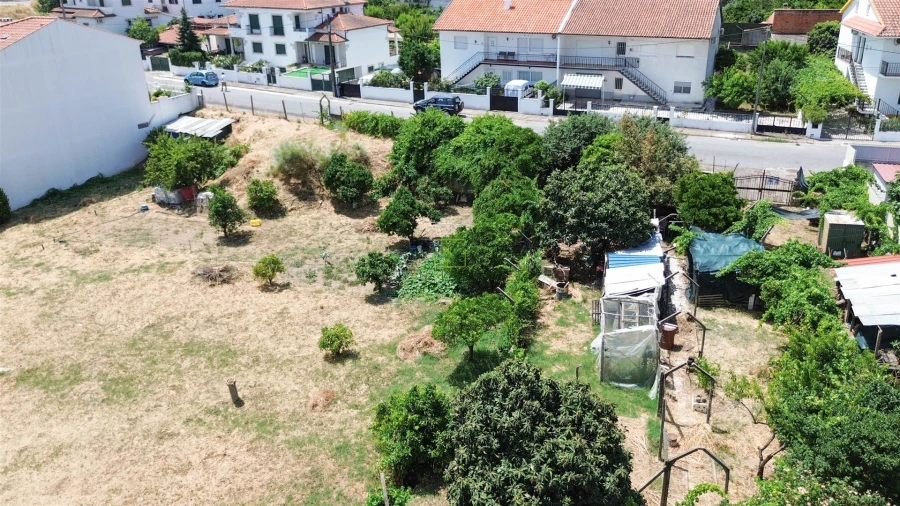 Terreno para Venda em Castelo Branco Foto 11