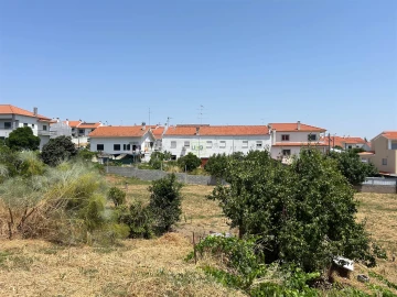 Terreno para Venda em Castelo Branco