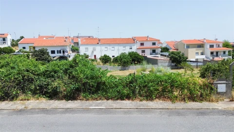 Terreno para Venda em Castelo Branco
