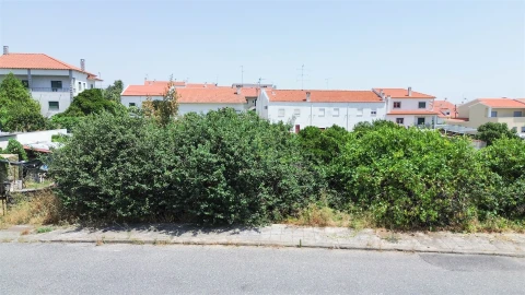 Terreno para Venda em Castelo Branco