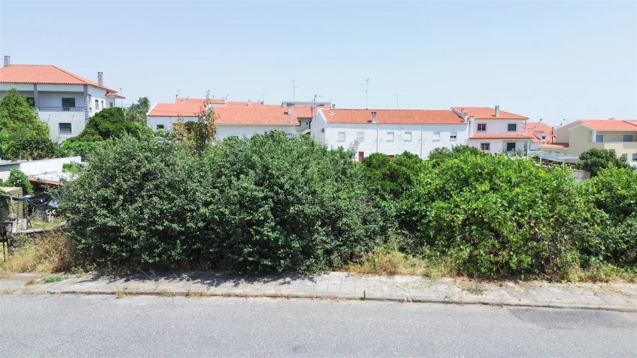 Terreno para Venda em Castelo Branco Foto 9