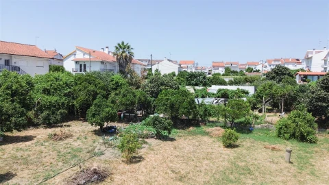 Terreno para Venda em Castelo Branco