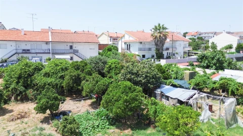 Terreno para Venda em Castelo Branco