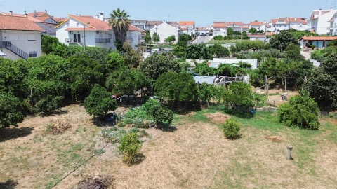 Terreno para Venda em Castelo Branco