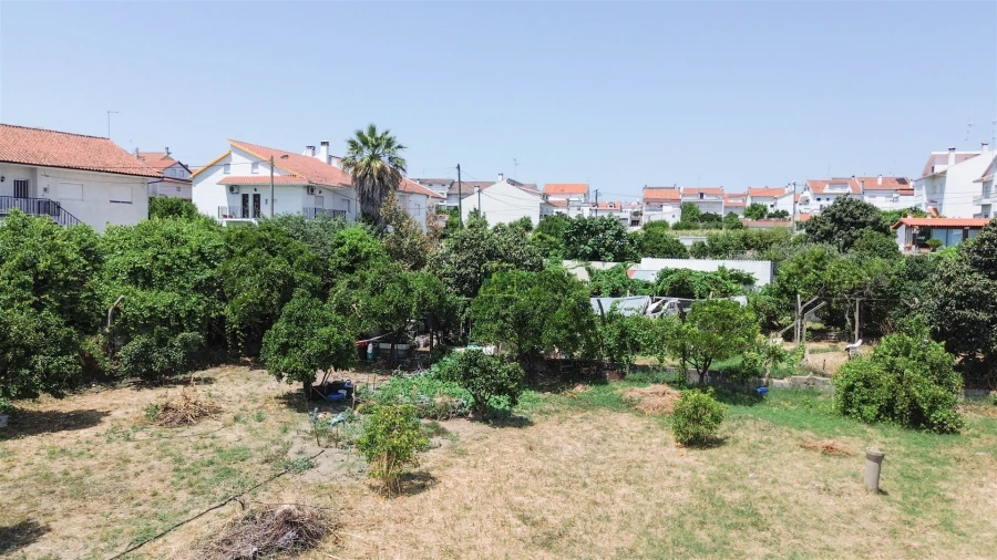 Terreno para Venda em Castelo Branco Foto 22