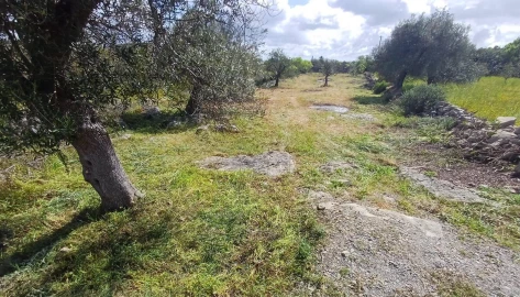 Terreno Agricola ou Rústico para Venda em Moncarapacho e Fuseta