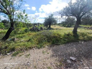 Terreno Agricola ou Rústico para Venda em Moncarapacho e Fuseta