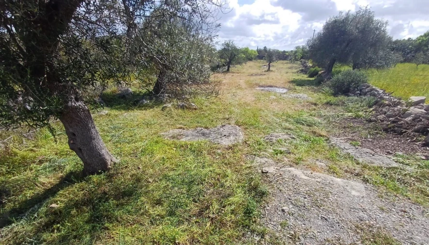 Terreno Agricola ou Rústico para Venda em Moncarapacho e Fuseta Foto 4