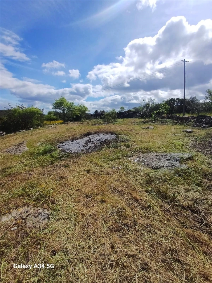 Terreno Agricola ou Rústico para Venda em Moncarapacho e Fuseta Foto 6