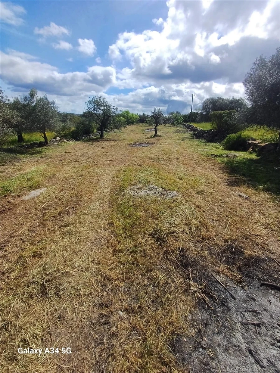 Terreno Agricola ou Rústico para Venda em Moncarapacho e Fuseta Foto 2
