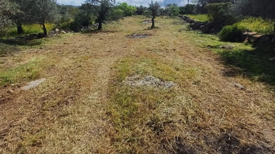 Terreno Agricola ou Rústico para Venda em Moncarapacho e Fuseta
