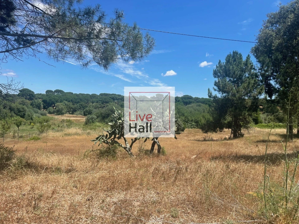 Terreno para Venda em Coruche, Fajarda e Erra Foto 6