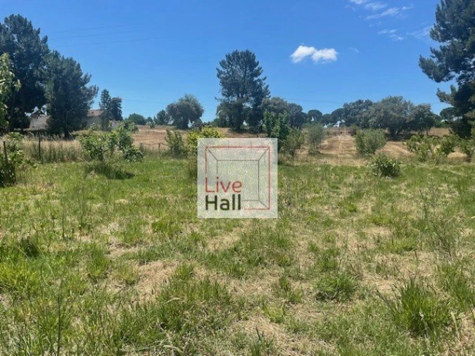 Terreno para Venda em Coruche, Fajarda e Erra Foto 11