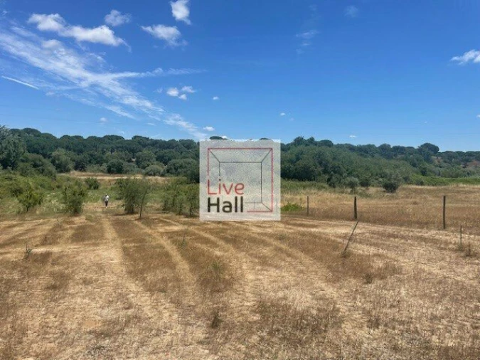 Terreno para Venda em Coruche, Fajarda e Erra Foto 17