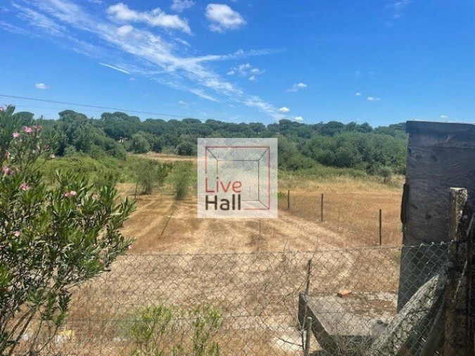 Terreno para Venda em Coruche, Fajarda e Erra Foto 13