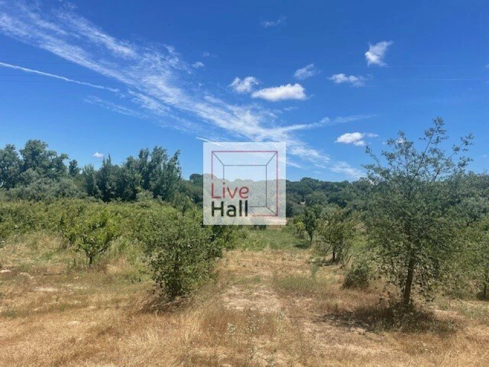 Terreno para Venda em Coruche, Fajarda e Erra Foto 18