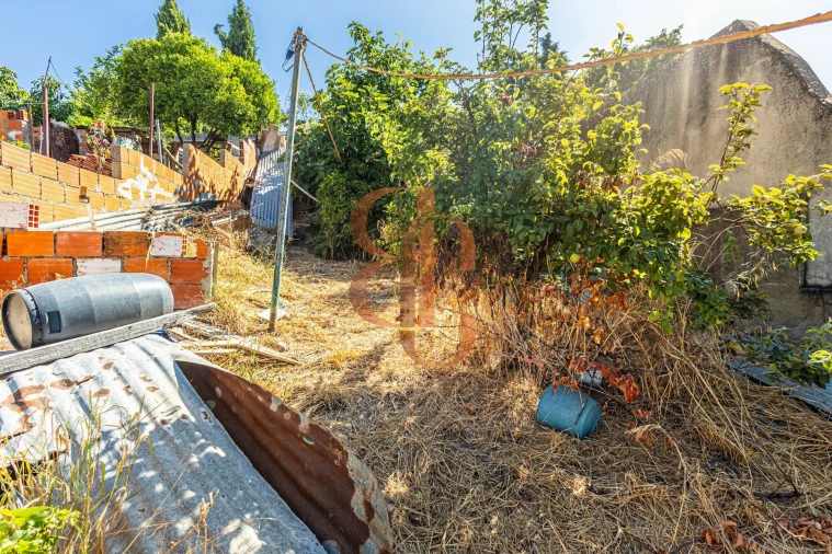 Moradia T2 para Venda em Chamusca e Pinheiro Grande Foto 4