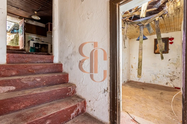 Moradia T2 para Venda em Chamusca e Pinheiro Grande Foto 14