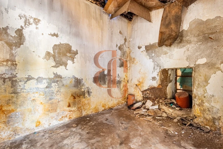 Moradia T2 para Venda em Chamusca e Pinheiro Grande Foto 10