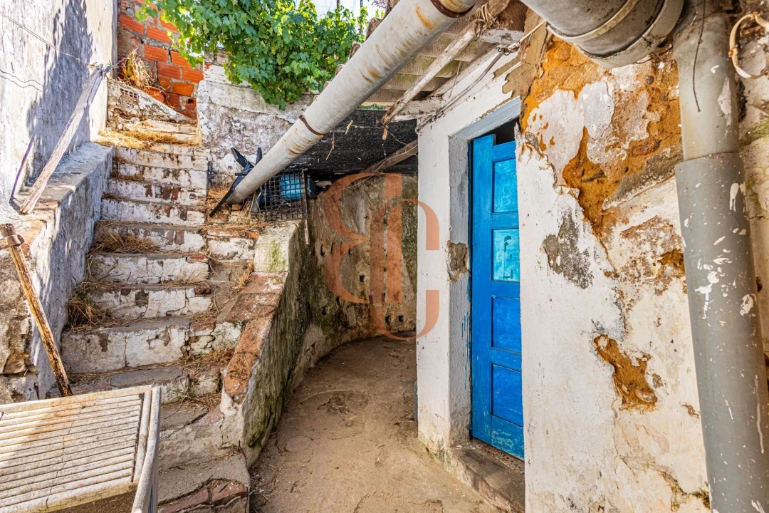 Moradia T2 para Venda em Chamusca e Pinheiro Grande Foto 2