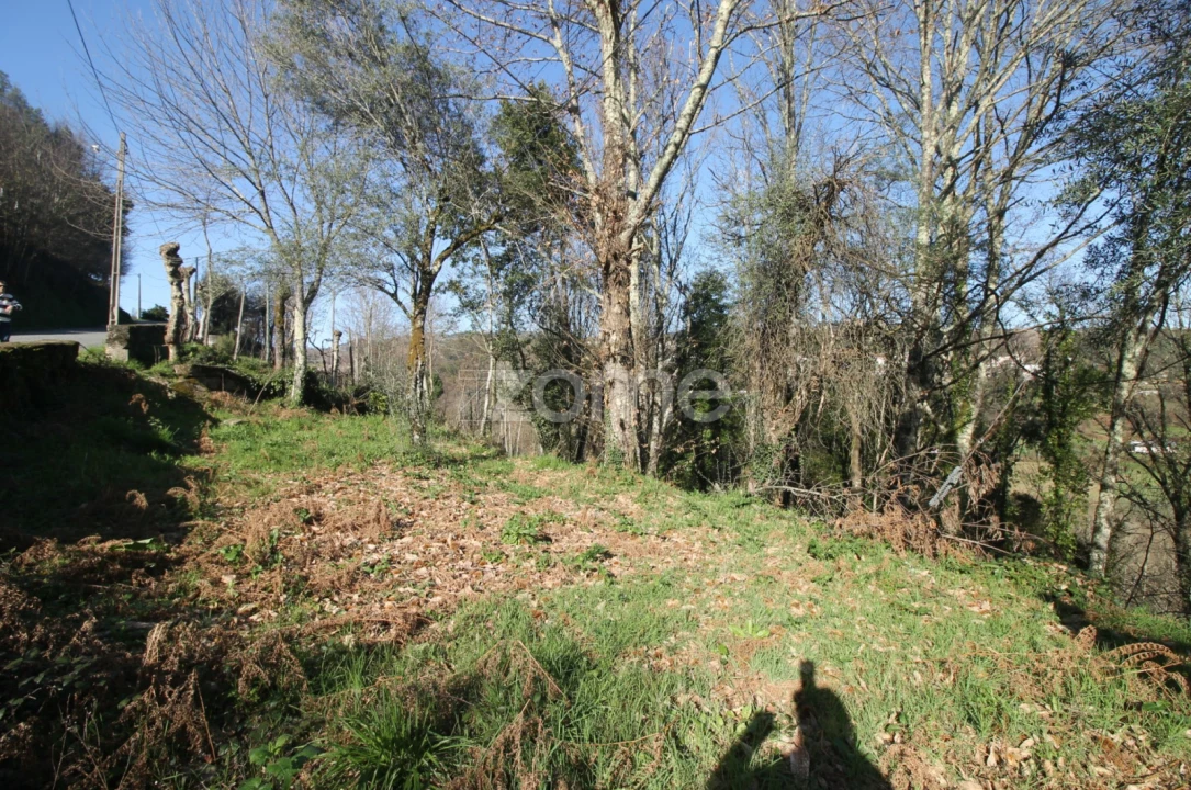 Moradia T2 para Venda em Refojos de Basto, Outeiro e Painzela Foto 15