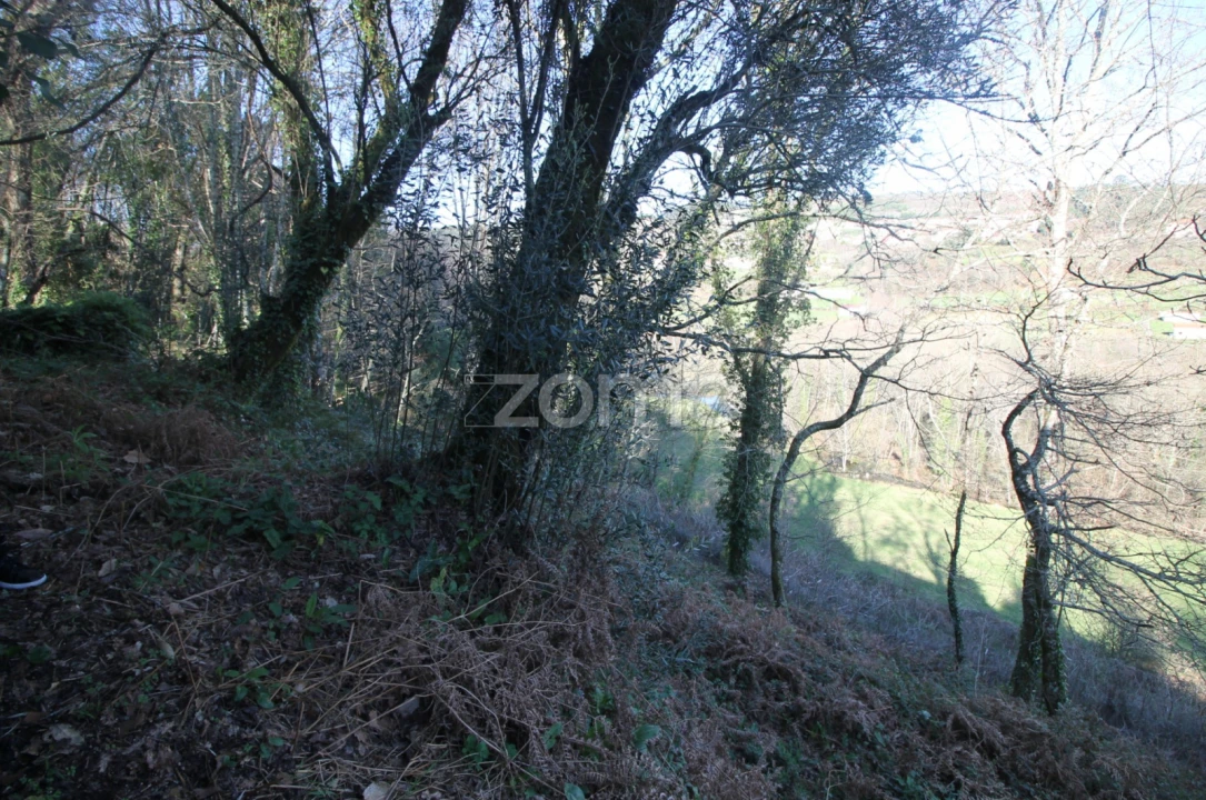 Moradia T2 para Venda em Refojos de Basto, Outeiro e Painzela Foto 16