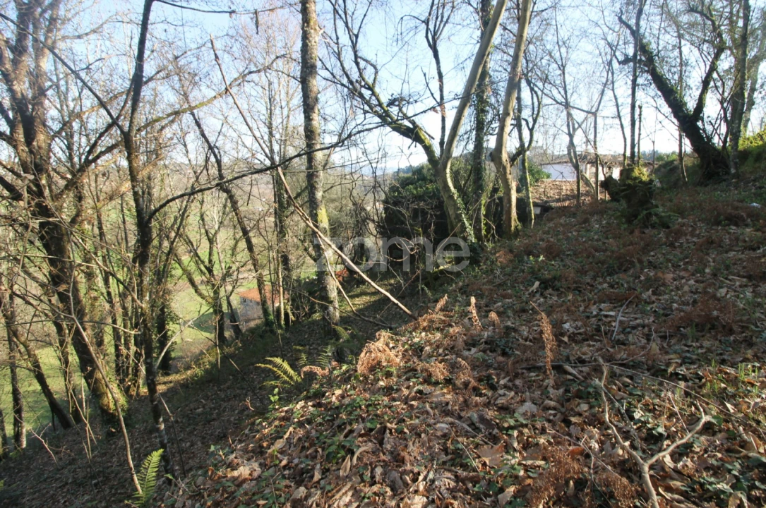 Moradia T2 para Venda em Refojos de Basto, Outeiro e Painzela Foto 17