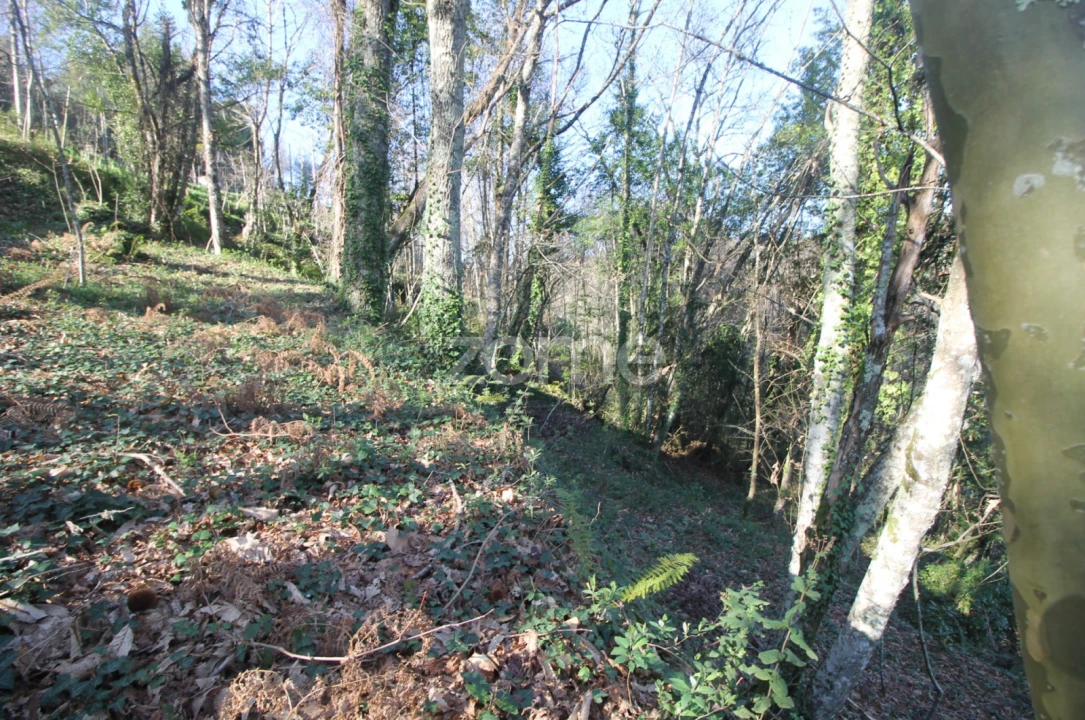 Moradia T2 para Venda em Refojos de Basto, Outeiro e Painzela Foto 18