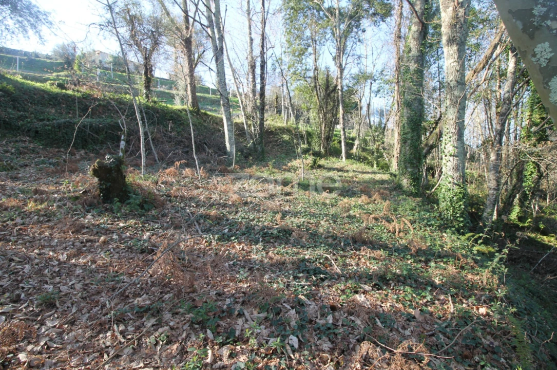 Moradia T2 para Venda em Refojos de Basto, Outeiro e Painzela Foto 9