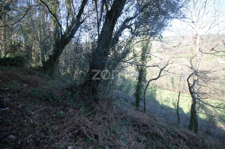 Moradia T2 para Venda em Refojos de Basto, Outeiro e Painzela Foto 16