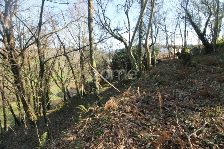 Moradia T2 para Venda em Refojos de Basto, Outeiro e Painzela Foto 17