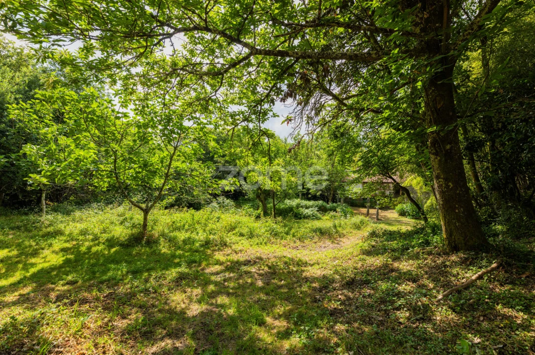 Quinta T22 para Venda em Armil Foto 32