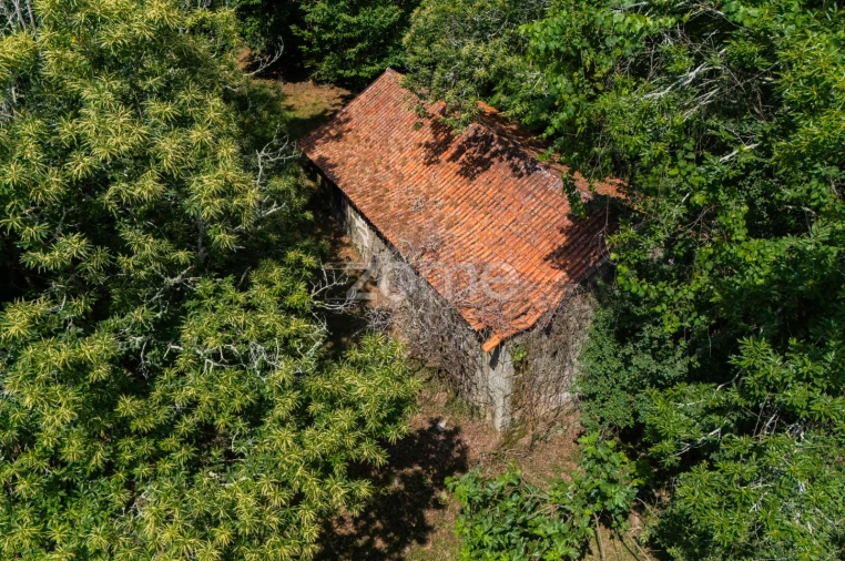 Quinta T22 para Venda em Armil Foto 41