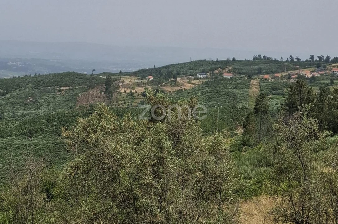 Moradia T3 para Venda em Seia, São Romão e Lapa dos Dinheiros Foto 32