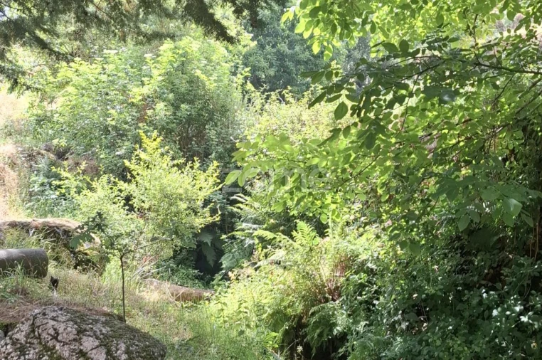 Moradia T3 para Venda em Seia, São Romão e Lapa dos Dinheiros Foto 28