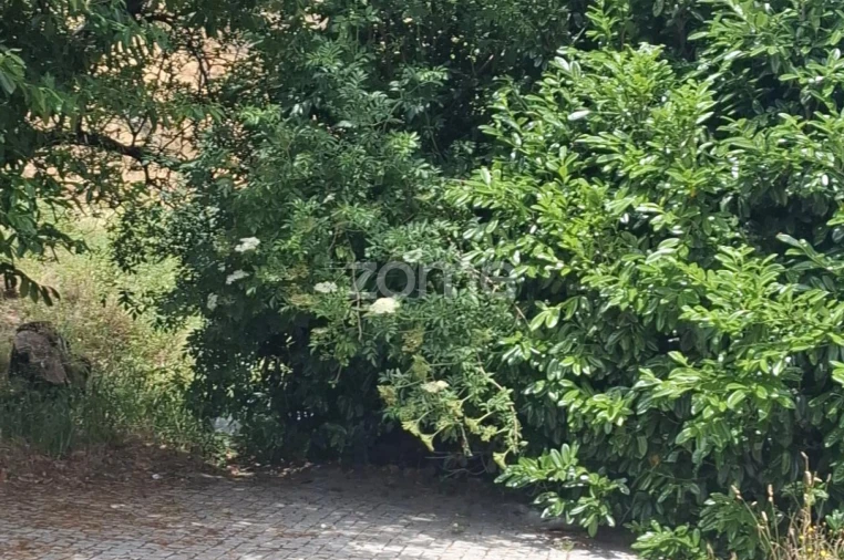 Moradia T3 para Venda em Seia, São Romão e Lapa dos Dinheiros Foto 31