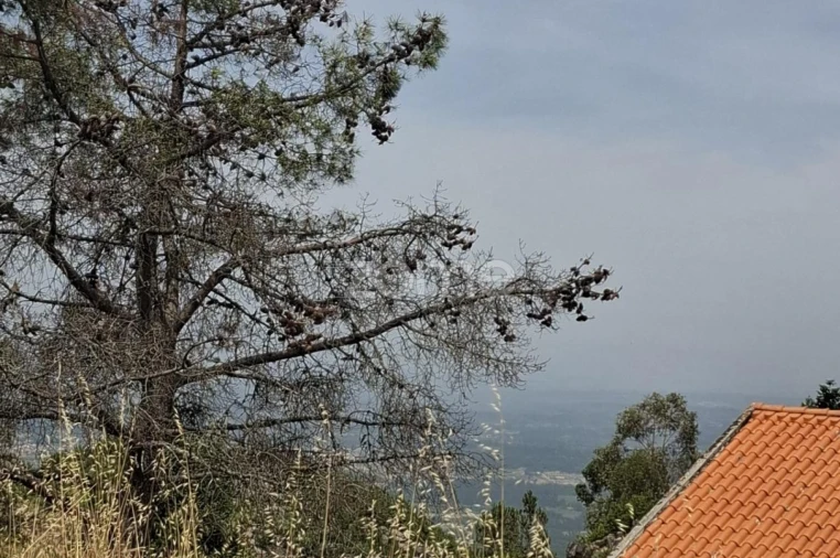 Moradia T3 para Venda em Seia, São Romão e Lapa dos Dinheiros Foto 33