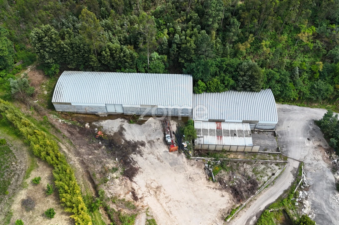 Terreno Comércio / Armazém para Venda em Pinheiro da Bemposta, Travanca e Palmaz Foto 2