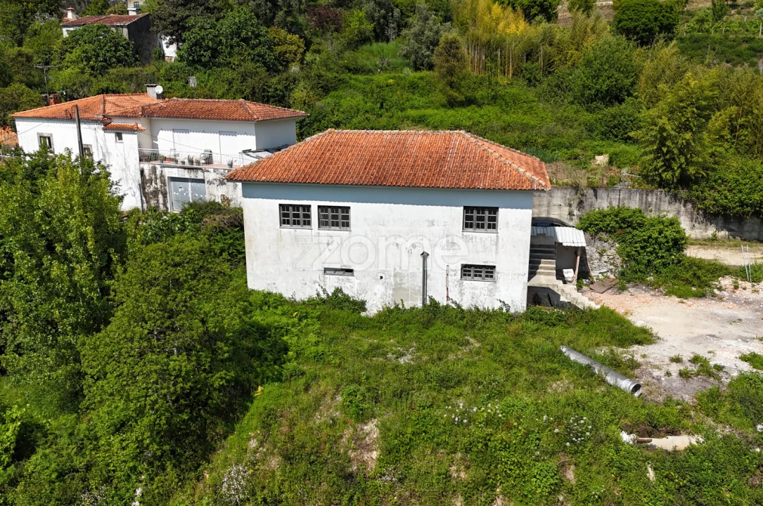 Terreno Comércio / Armazém para Venda em Pinheiro da Bemposta, Travanca e Palmaz Foto 9