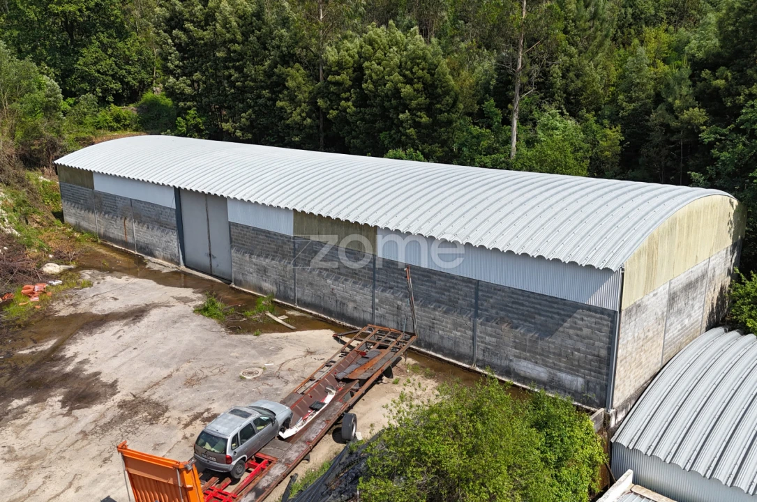 Terreno Comércio / Armazém para Venda em Pinheiro da Bemposta, Travanca e Palmaz Foto 11