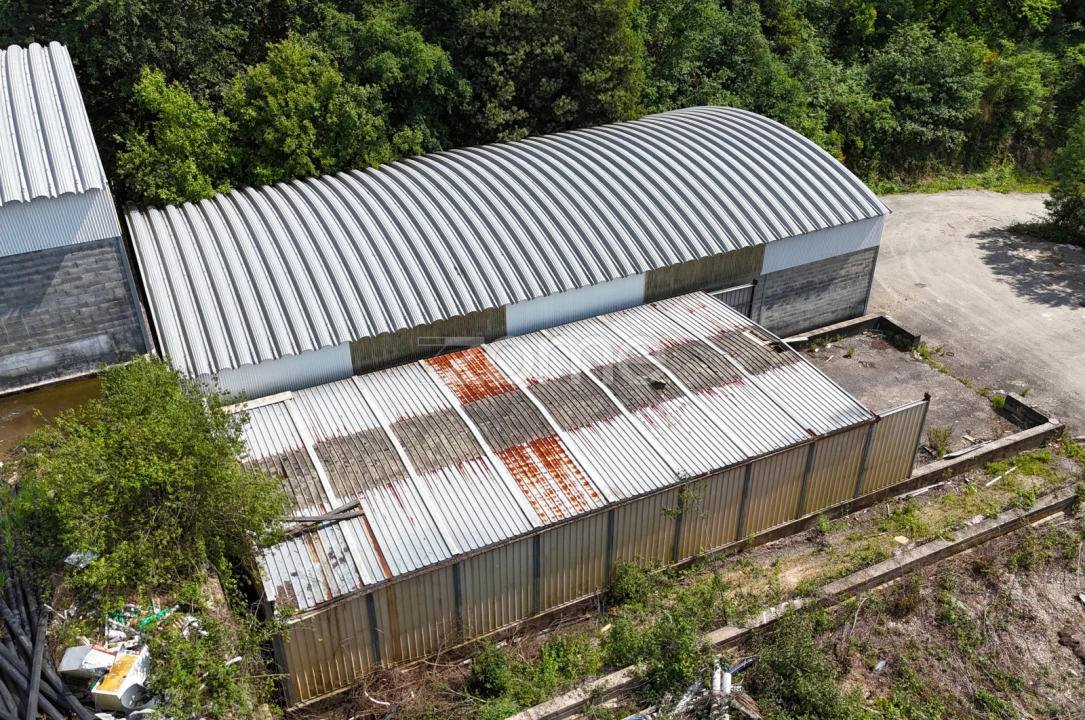 Terreno Comércio / Armazém para Venda em Pinheiro da Bemposta, Travanca e Palmaz Foto 12