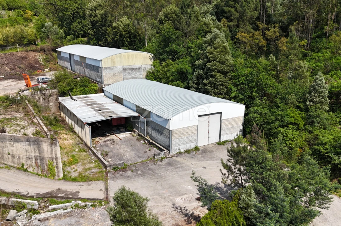 Terreno Comércio / Armazém para Venda em Pinheiro da Bemposta, Travanca e Palmaz Foto 1