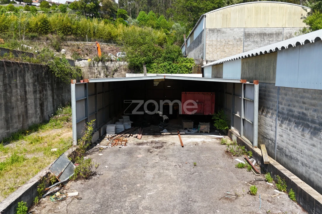 Terreno Comércio / Armazém para Venda em Pinheiro da Bemposta, Travanca e Palmaz Foto 13