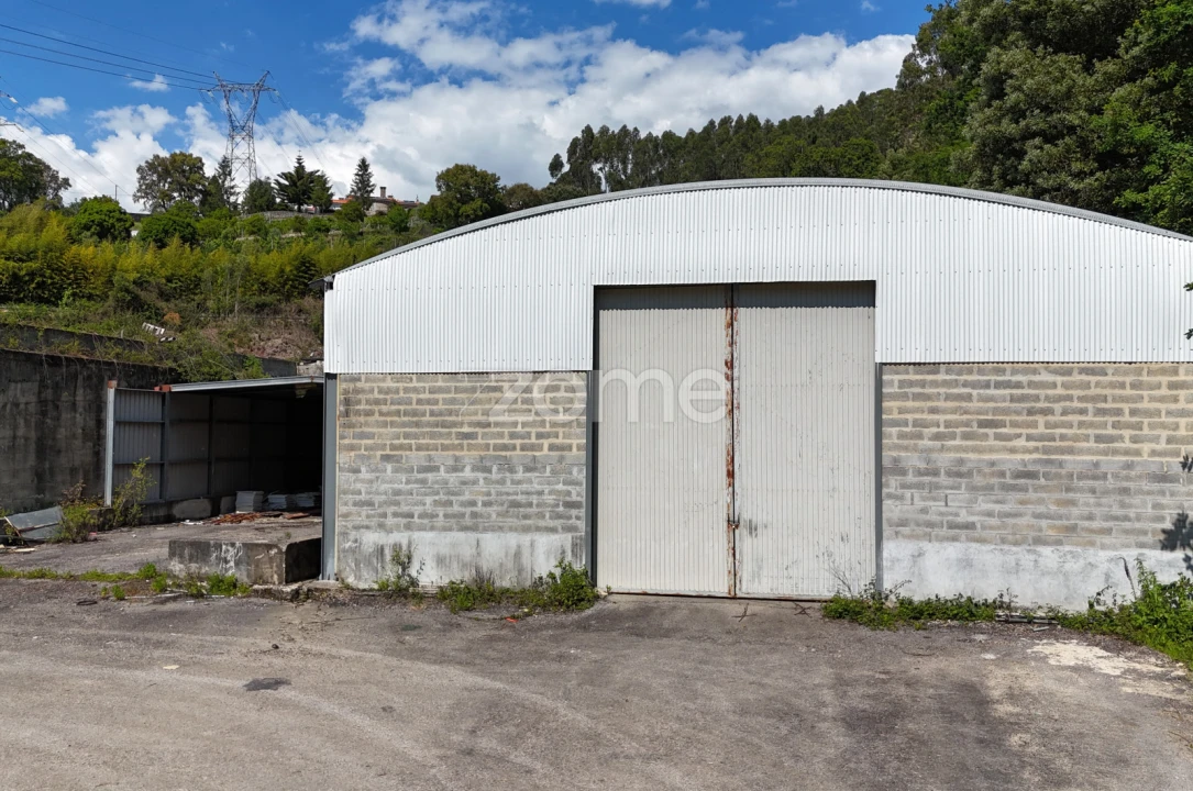 Terreno Comércio / Armazém para Venda em Pinheiro da Bemposta, Travanca e Palmaz Foto 15