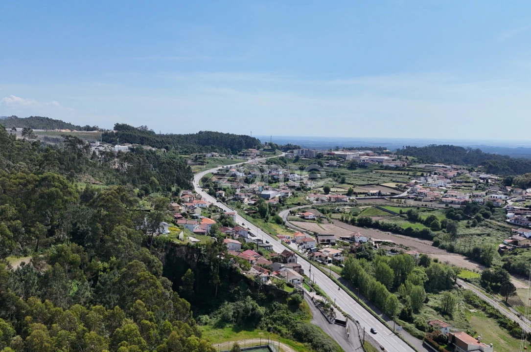 Terreno Comércio / Armazém para Venda em Pinheiro da Bemposta, Travanca e Palmaz Foto 20