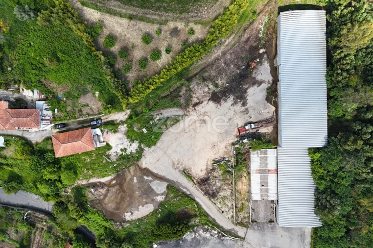 Terreno Comércio / Armazém para Venda em Pinheiro da Bemposta, Travanca e Palmaz Foto 3
